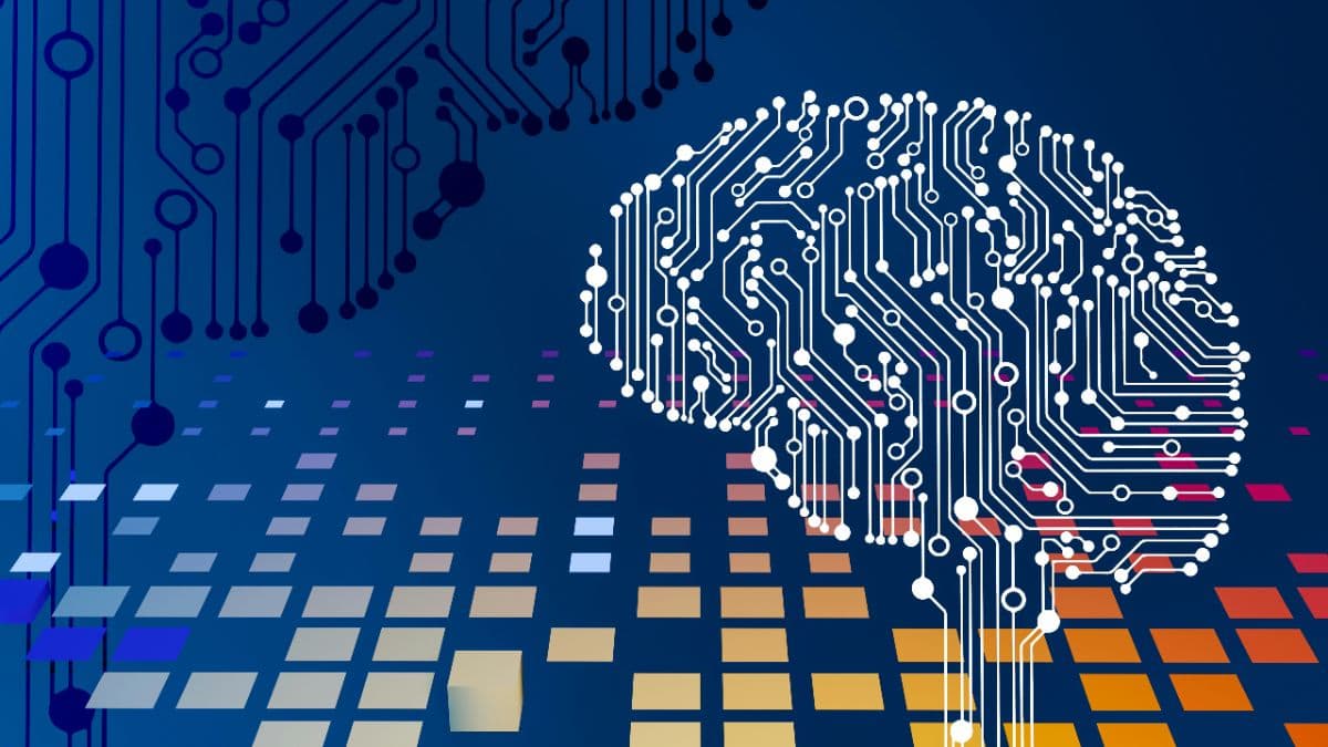 The Bio-Digital Synthesis: Why the Future of AI is Human
